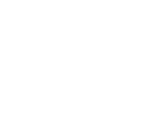 Logo - Ever Line Coatings and Services Franchise