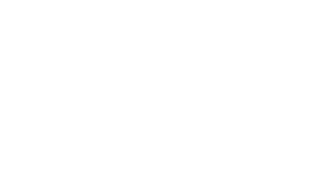 Logo - Koala Insulation Franchise